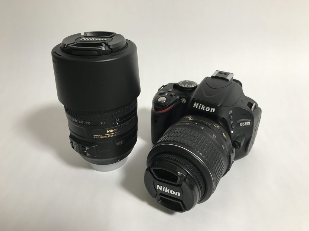 Nikon D5100の評価は？初心者が使ってみた感想 | カメラと巡る日本の遺産
