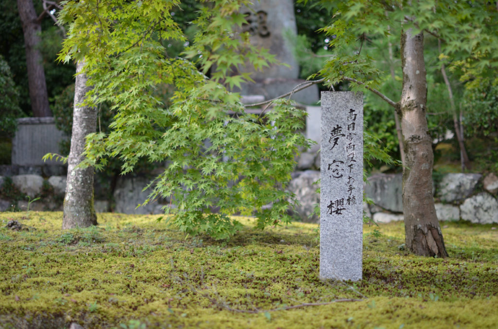 適正露出