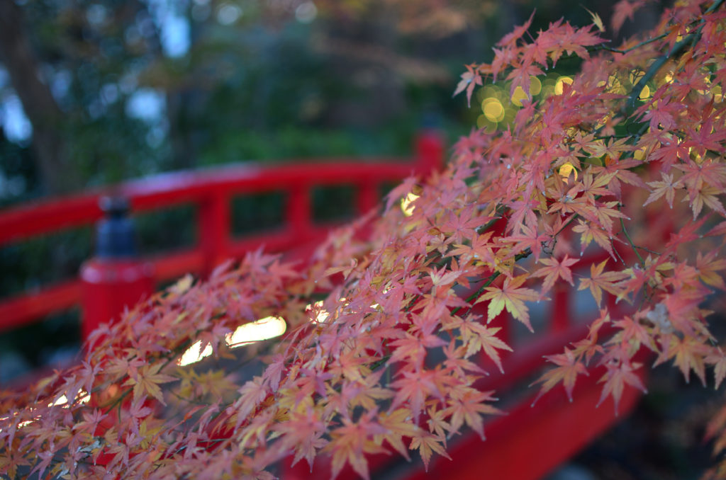 背景ぼかす