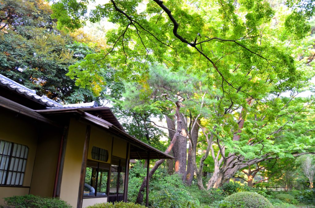 根津美術館