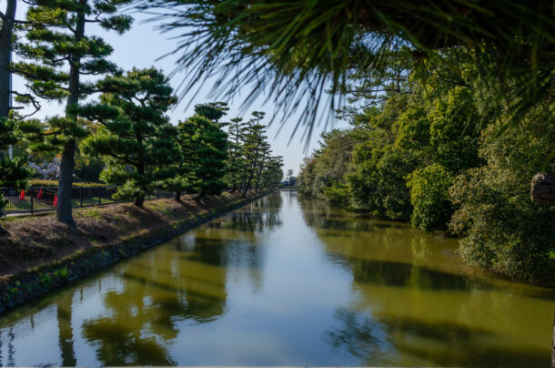 仁徳天皇陵古墳の濠