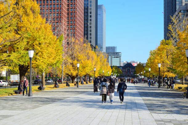 東京駅のイチョウ