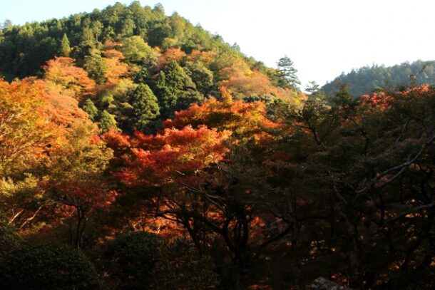 高山寺