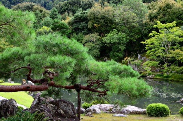 天龍寺