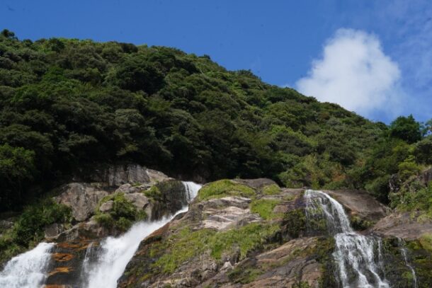 屋久島　大川の滝