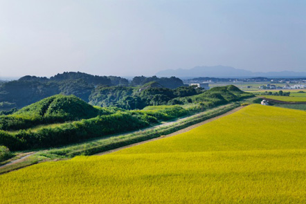 新原・奴山古墳群