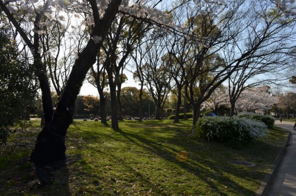 大仙公園