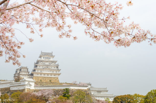 三の丸広場からの姫路城