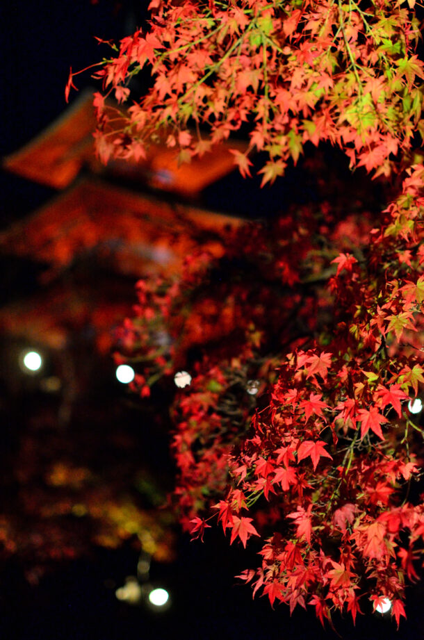 清水寺境内の紅葉