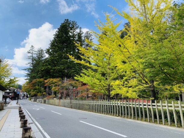 高野山の山道