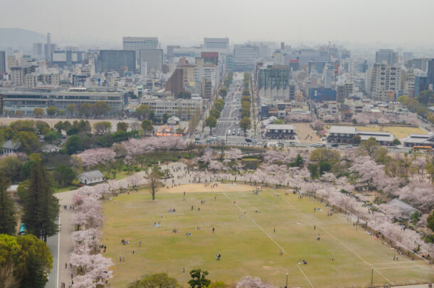 天守閣からの眺め