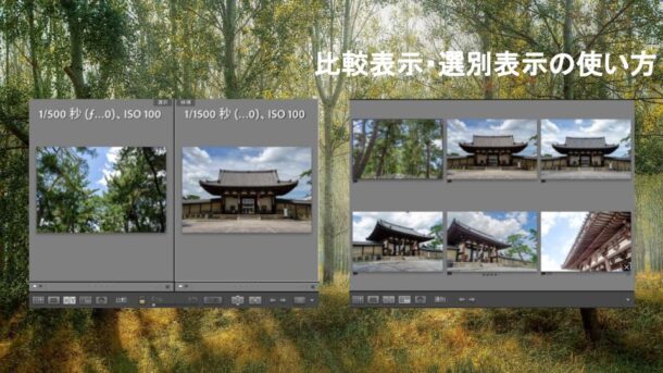 Lightroomの比較機能