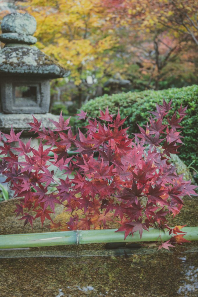 京都の写真