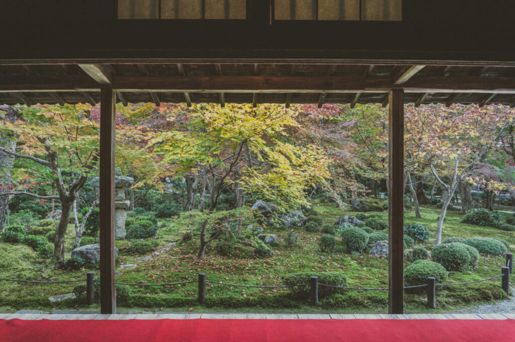 京都の写真