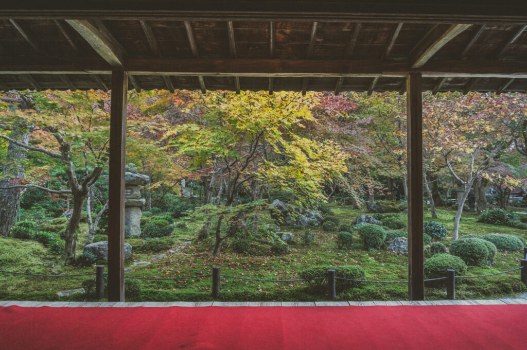 京都の写真