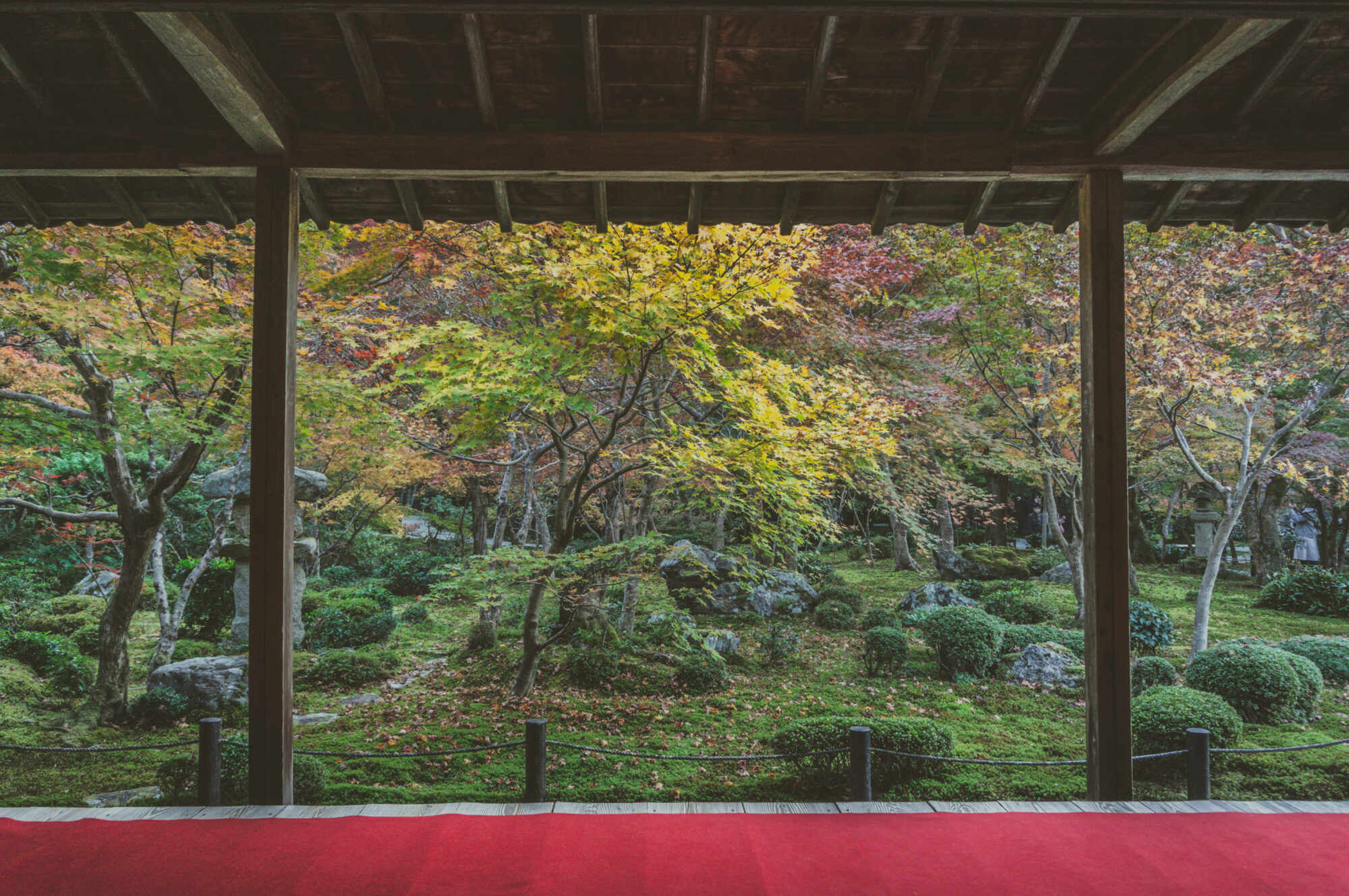 京都の写真