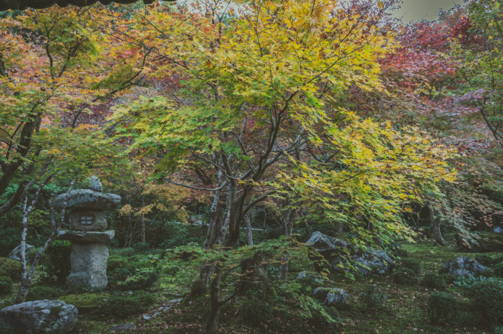 京都の写真