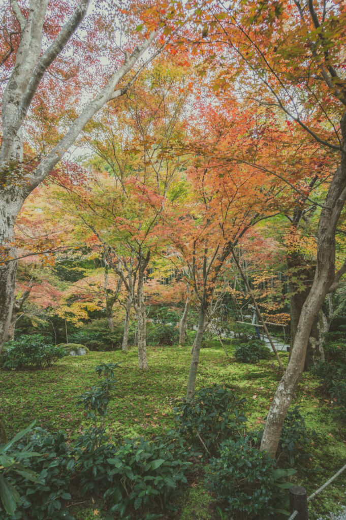 京都の写真