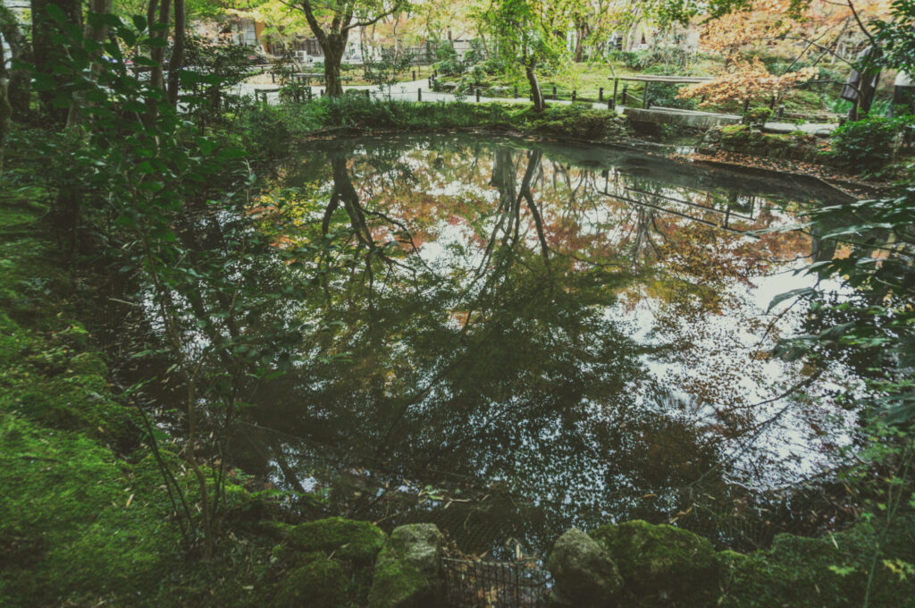 京都の写真