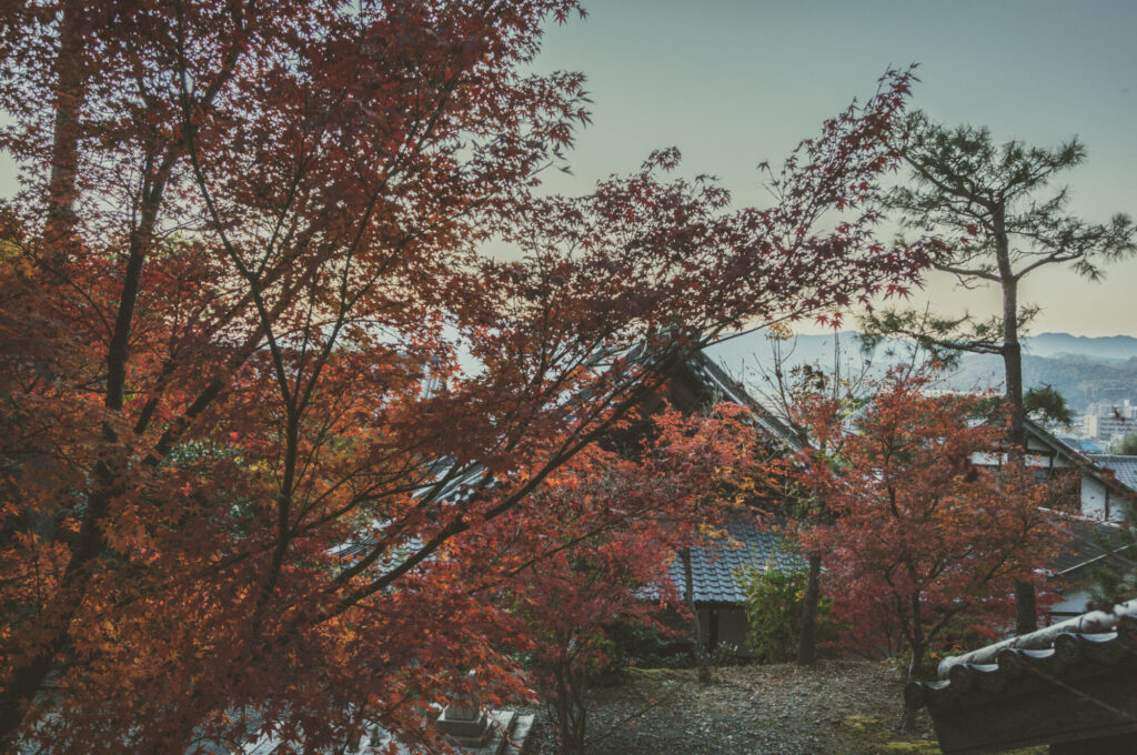 京都の写真