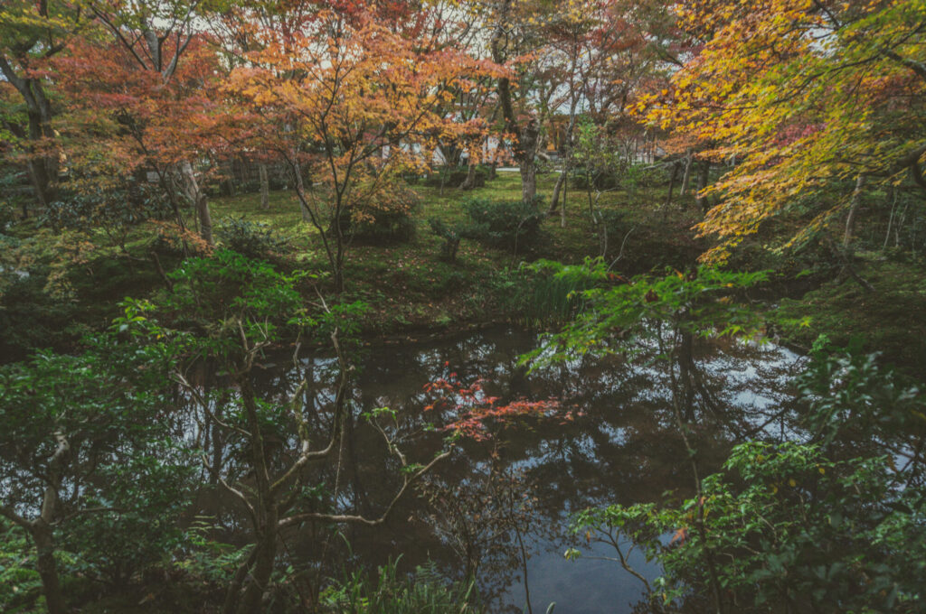 京都の写真