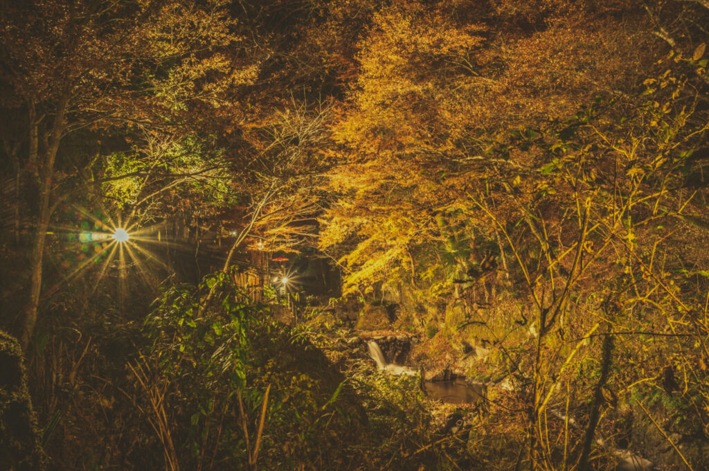 京都の写真