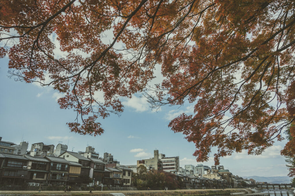 京都の写真