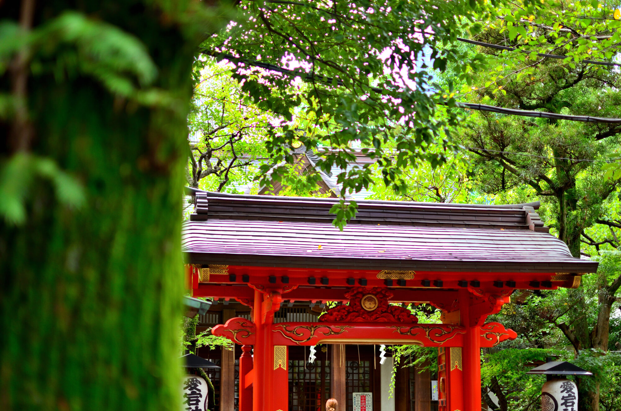 愛宕神社