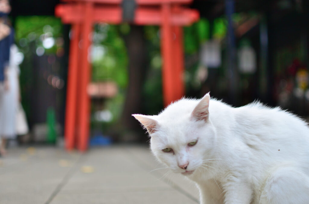 愛宕神社