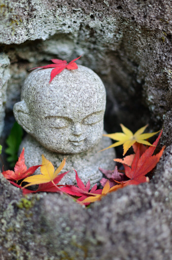 京都の写真