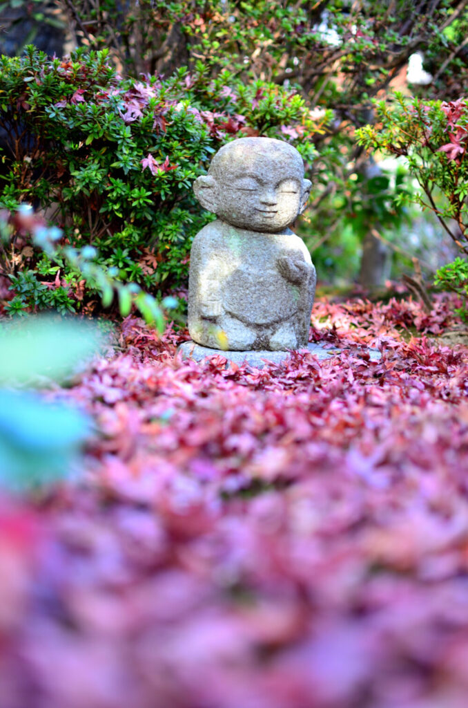 京都の写真