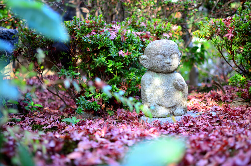 京都の写真