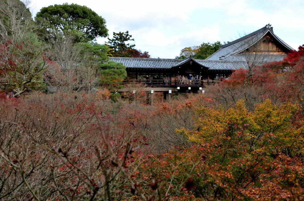 京都の写真