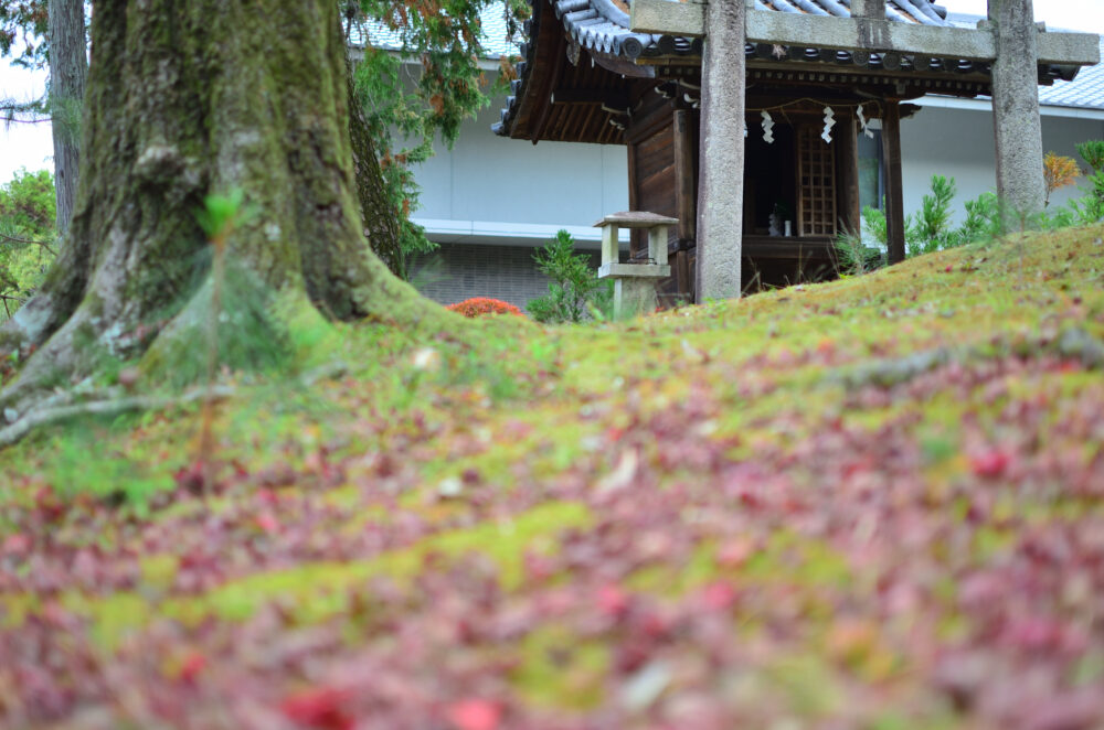 京都の写真