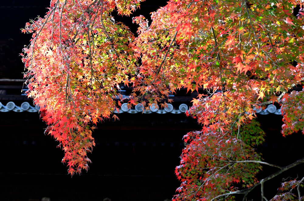 京都の写真