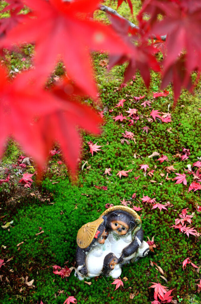 京都の写真