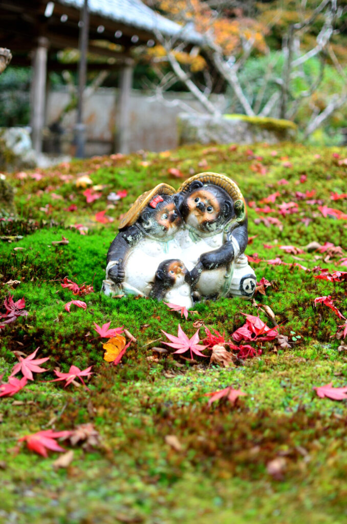 京都の写真