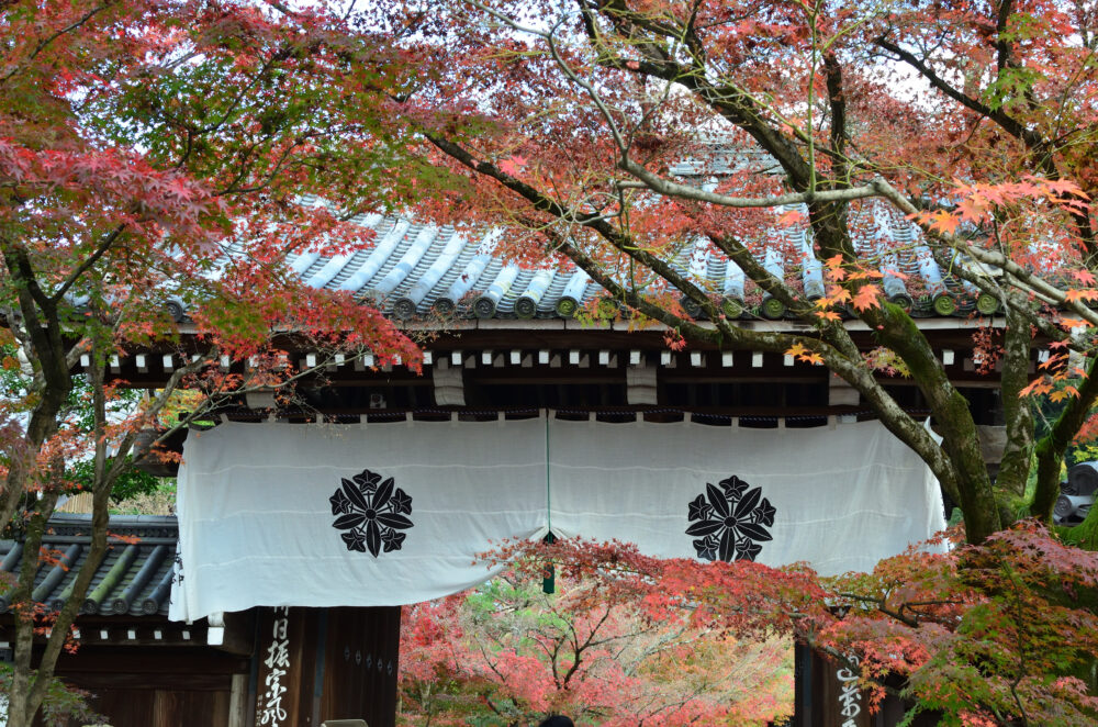 京都の写真