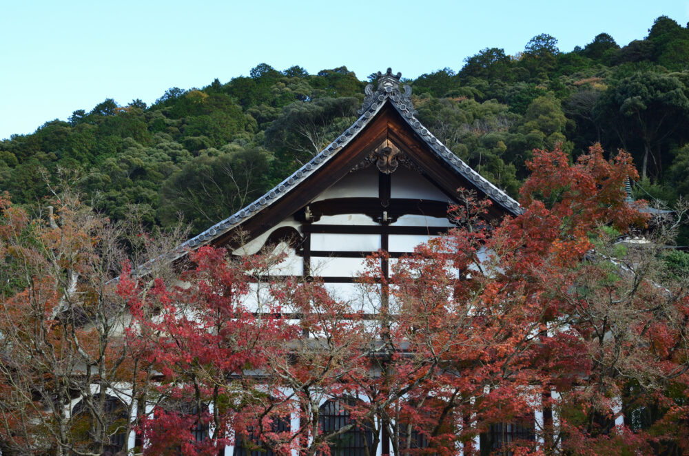 京都の写真