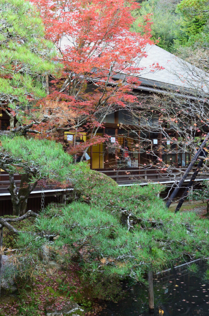 京都の写真