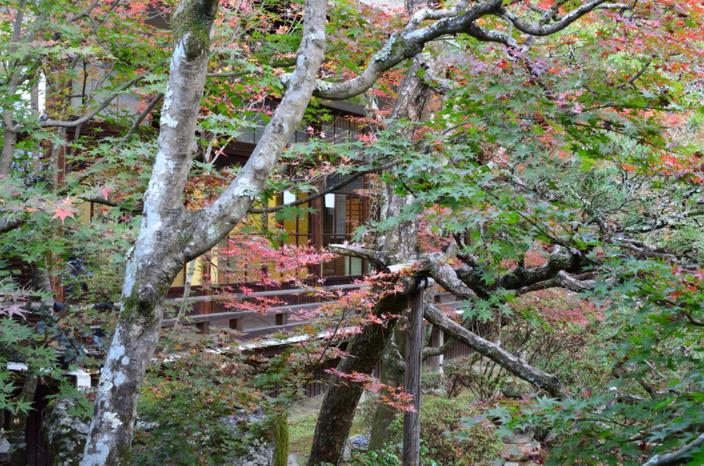 京都の写真