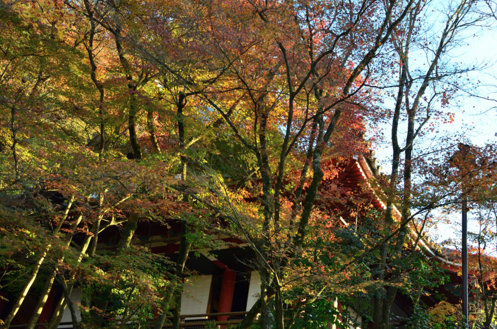 京都の写真