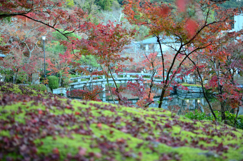 京都の写真