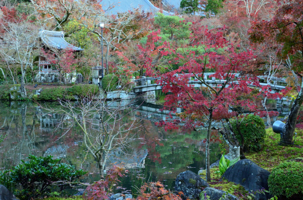 京都の写真