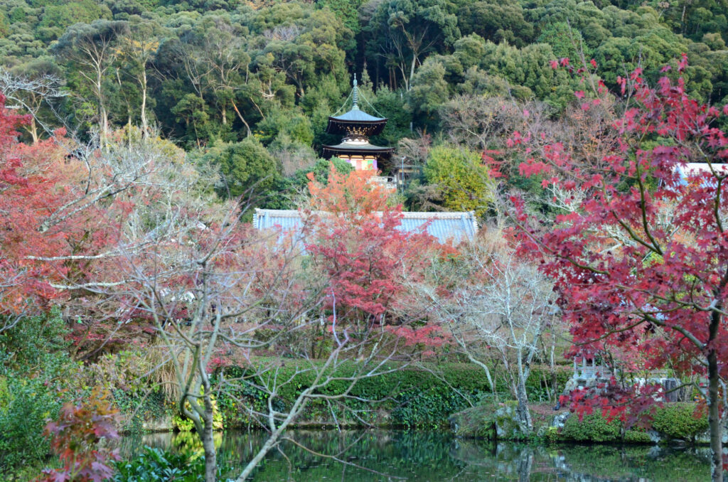 京都の写真