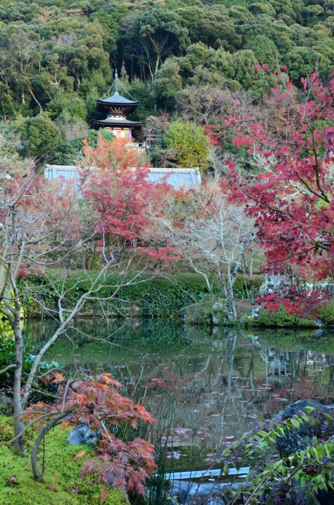 京都の写真