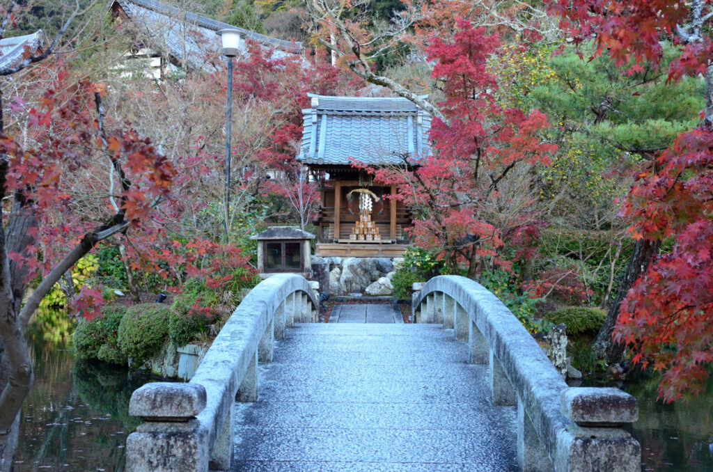 京都の写真