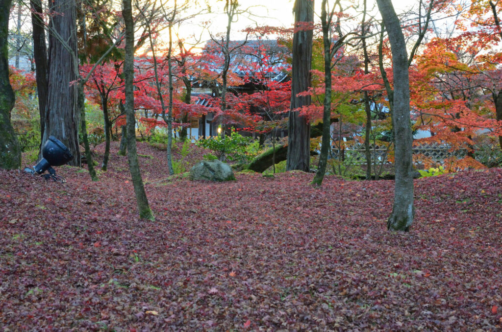 京都の写真