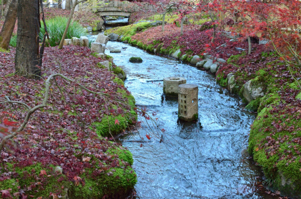 京都の写真