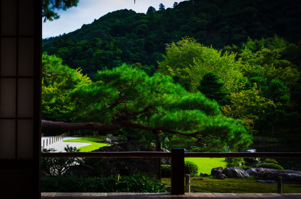 京都の写真